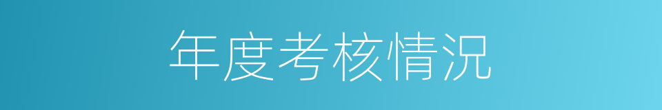 年度考核情況的同義詞