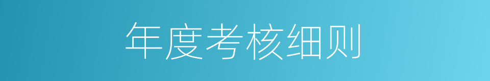 年度考核细则的同义词