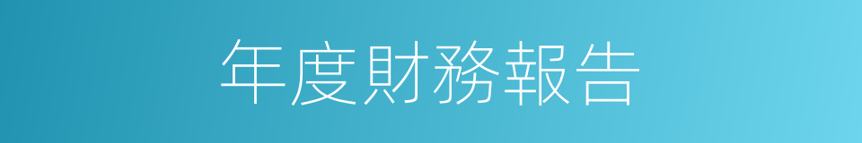 年度財務報告的同義詞
