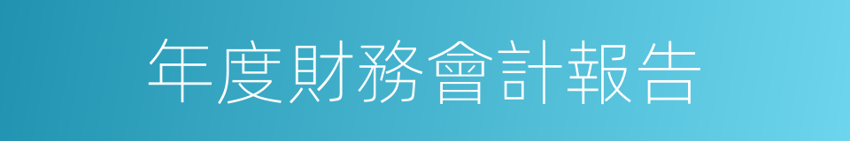 年度財務會計報告的同義詞