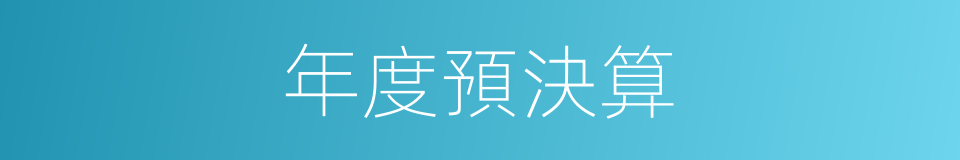 年度預決算的同義詞
