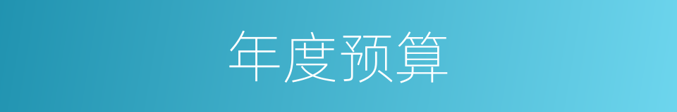 年度预算的同义词