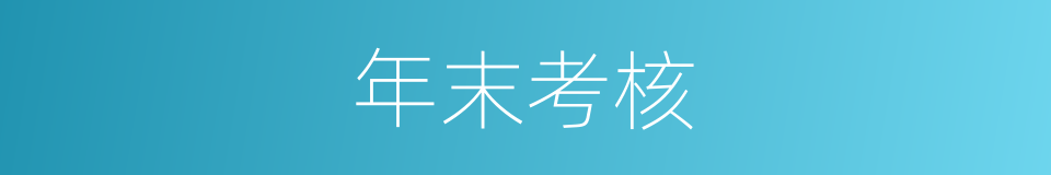 年末考核的同义词