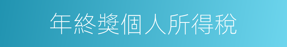 年終獎個人所得稅的同義詞