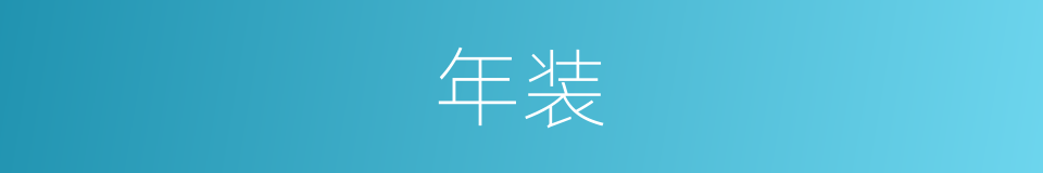 年装的同义词
