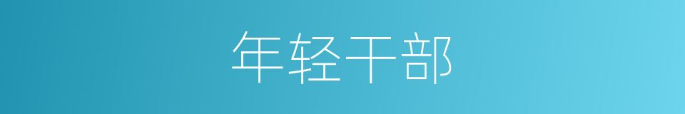 年轻干部的同义词