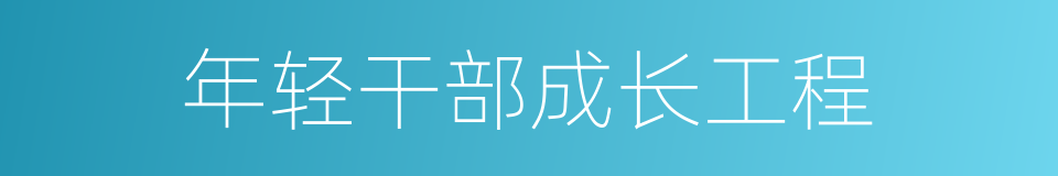年轻干部成长工程的同义词