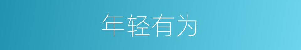 年轻有为的意思