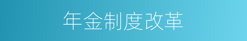 年金制度改革的同义词