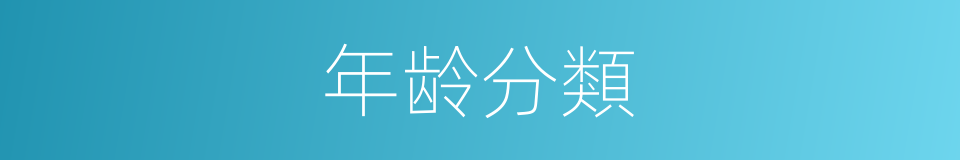 年龄分類的同義詞