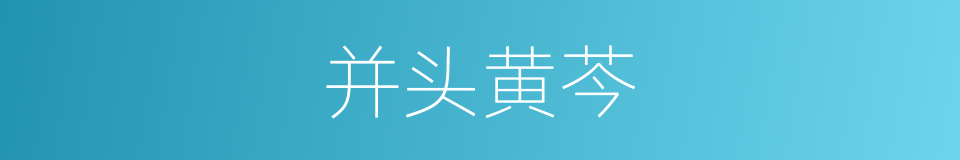 并头黄芩的同义词