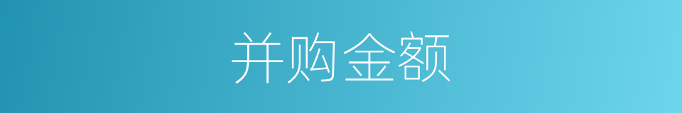 并购金额的同义词