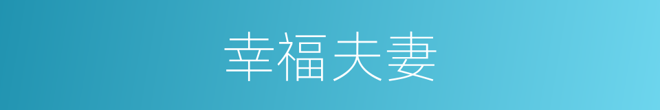 幸福夫妻的同义词