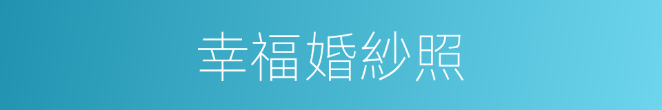 幸福婚紗照的同義詞