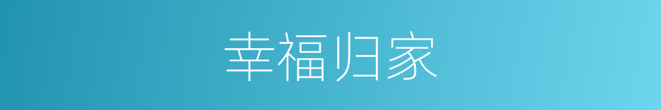 幸福归家的同义词