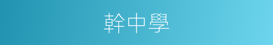 幹中學的同義詞