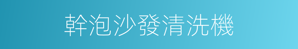 幹泡沙發清洗機的同義詞