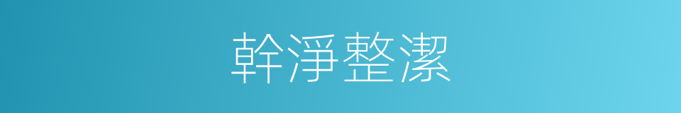 幹淨整潔的意思