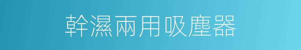 幹濕兩用吸塵器的同義詞