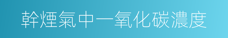 幹煙氣中一氧化碳濃度的同義詞