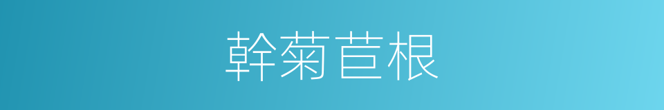 幹菊苣根的同義詞