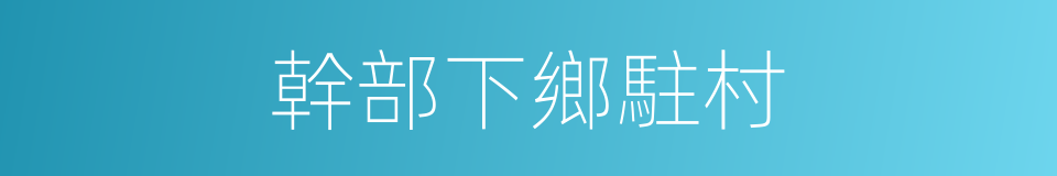 幹部下鄉駐村的同義詞