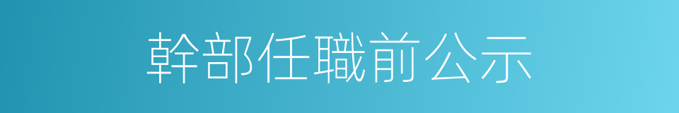 幹部任職前公示的同義詞