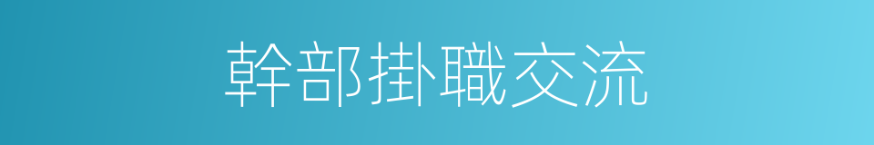 幹部掛職交流的同義詞