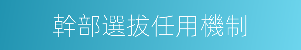 幹部選拔任用機制的同義詞