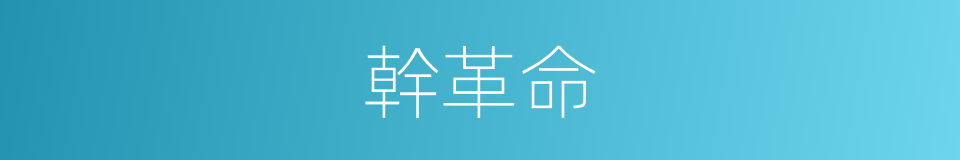 幹革命的同義詞