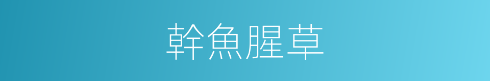 幹魚腥草的同義詞