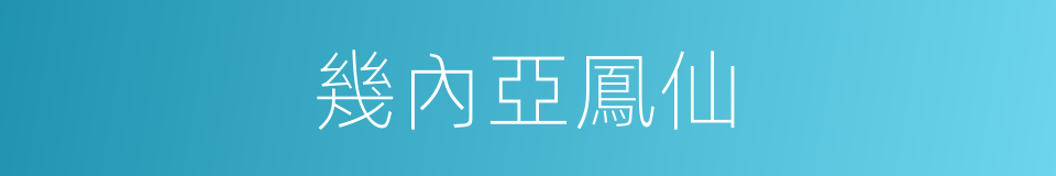 幾內亞鳳仙的同義詞