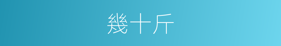 幾十斤的同義詞