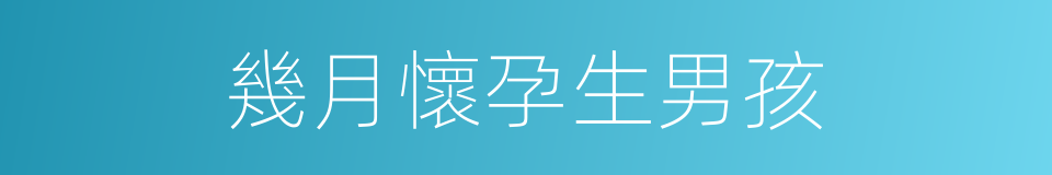 幾月懷孕生男孩的同義詞