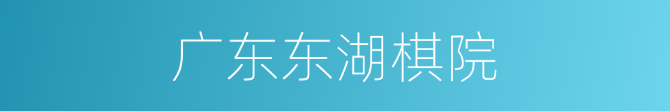 广东东湖棋院的同义词