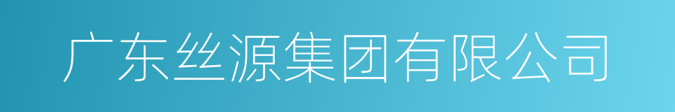 广东丝源集团有限公司的同义词