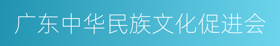 广东中华民族文化促进会的同义词