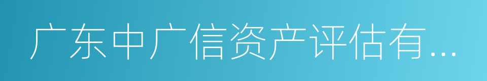 广东中广信资产评估有限公司的同义词