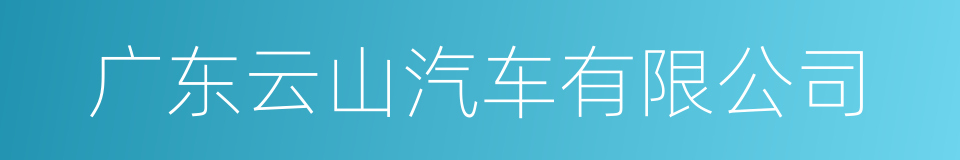 广东云山汽车有限公司的同义词
