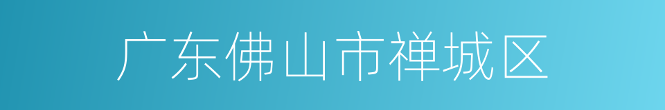 广东佛山市禅城区的同义词