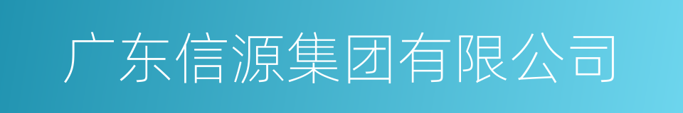 广东信源集团有限公司的同义词