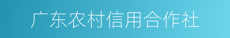 广东农村信用合作社的同义词