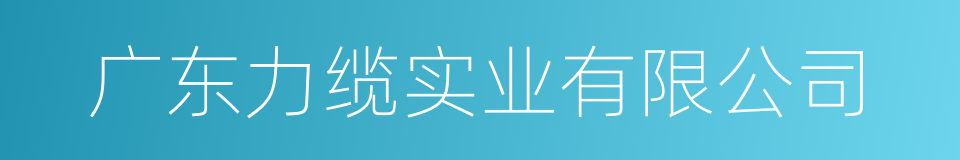 广东力缆实业有限公司的同义词