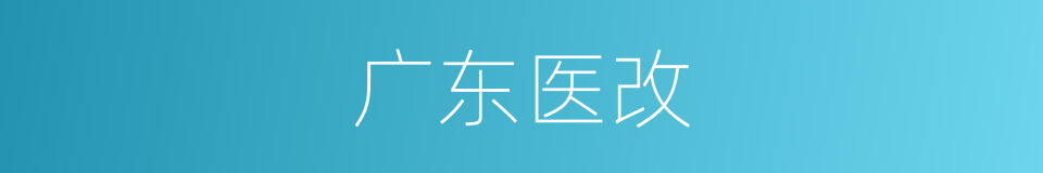 广东医改的同义词