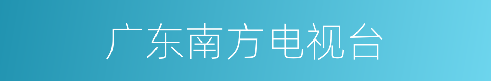 广东南方电视台的同义词