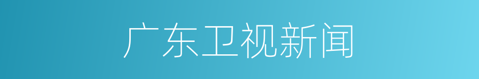 广东卫视新闻的同义词