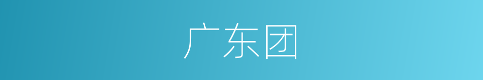 广东团的同义词