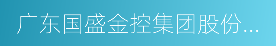 广东国盛金控集团股份有限公司的同义词