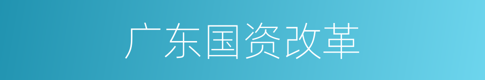 广东国资改革的同义词