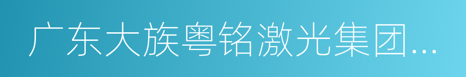 广东大族粤铭激光集团股份有限公司的同义词